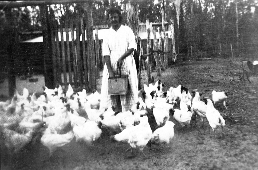 Feeding the chickens at a home in Redbank, Ipswich, c.1920