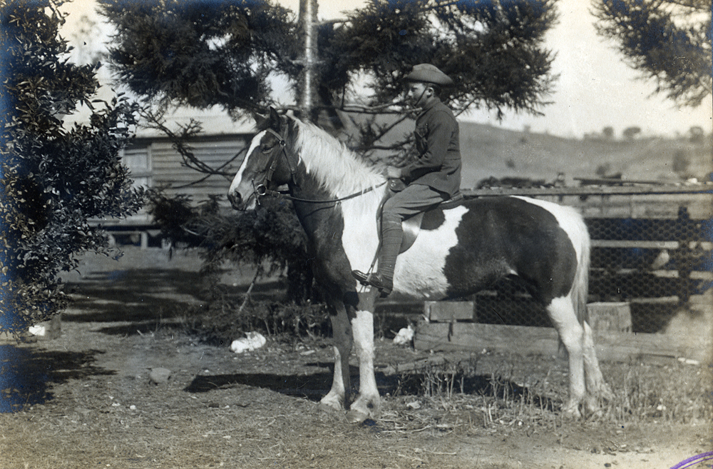 David Neuendorff on his Uncle Harman's piebald horse, Minden, near Ipswich, c.1914