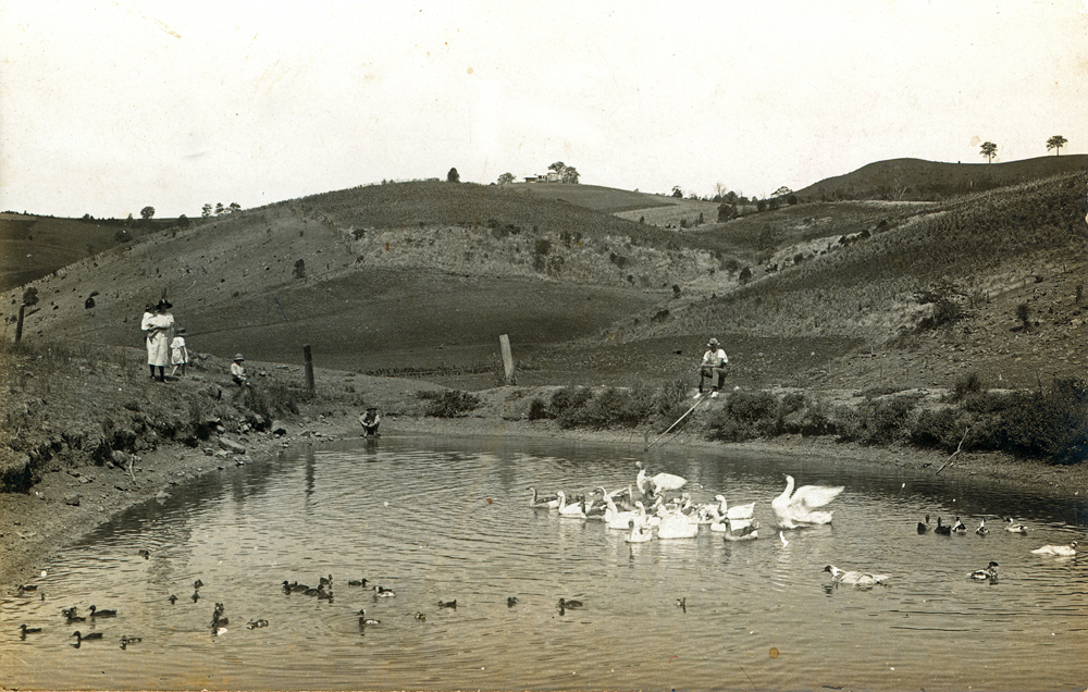 Dam near Two Tree Hill, between Marburg and Minden, Tallegalla, near Ipswich, early 1920s