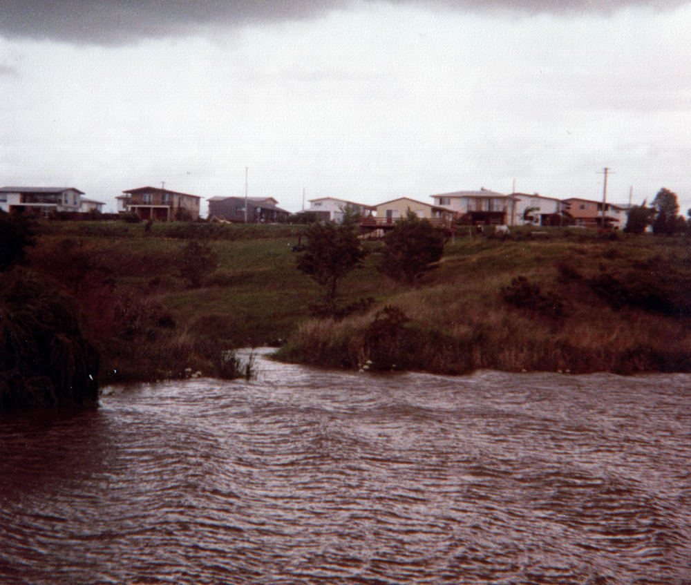 Bremer River towards Moores Pocket, Ipswich, 1985