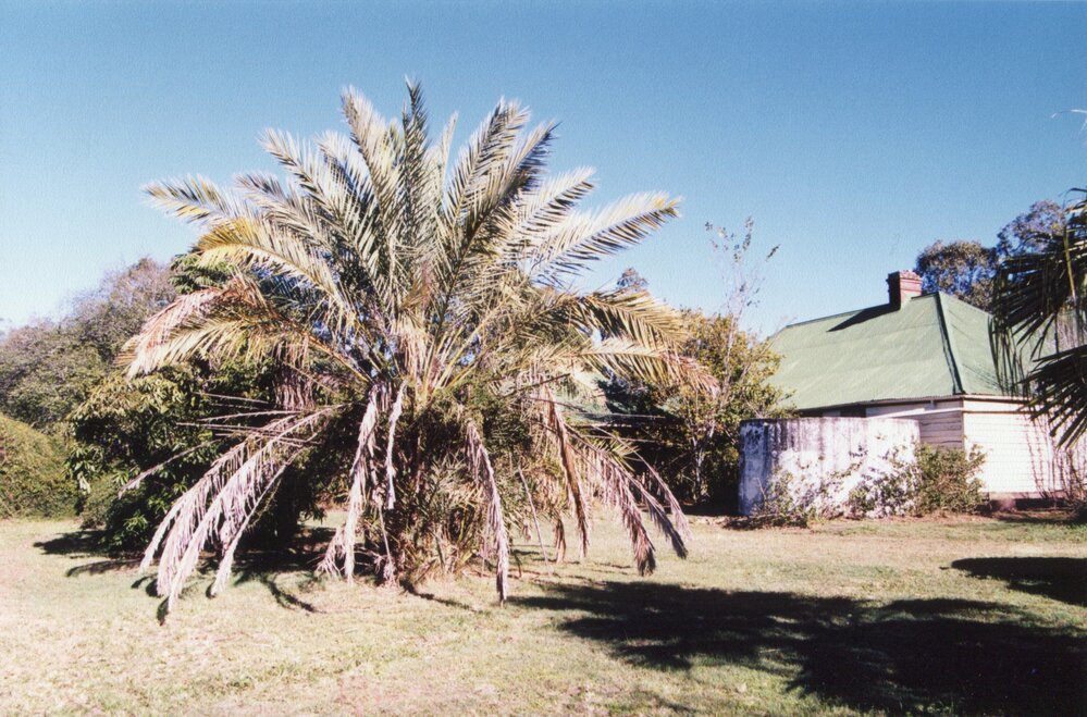 Cooneana, 1041 Redbank Plains Road, New Chum, Ipswich, 1998