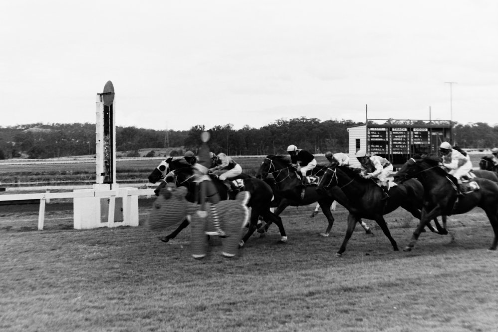 Shelven &amp; Rudolph explore Ipswich, Christmas 2020