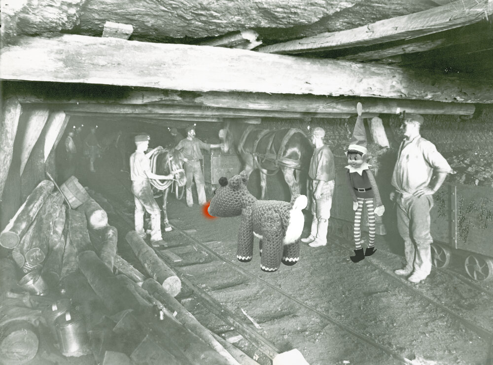 Shelven &amp; Rudolph explore Ipswich, Christmas 2020