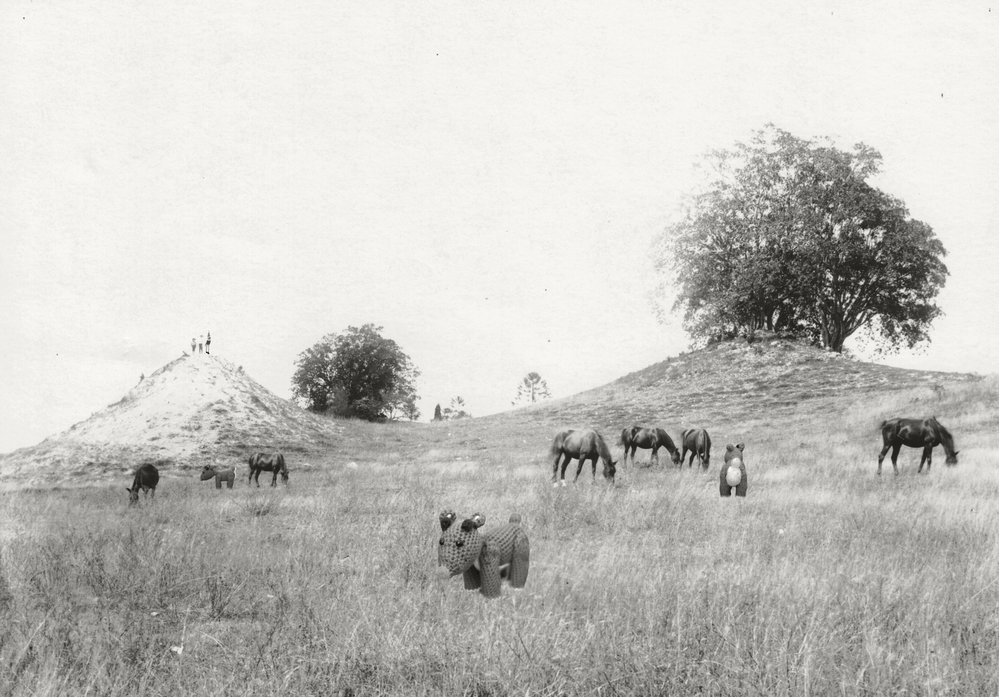 Shelven &amp; Rudolph explore Ipswich, Christmas 2020