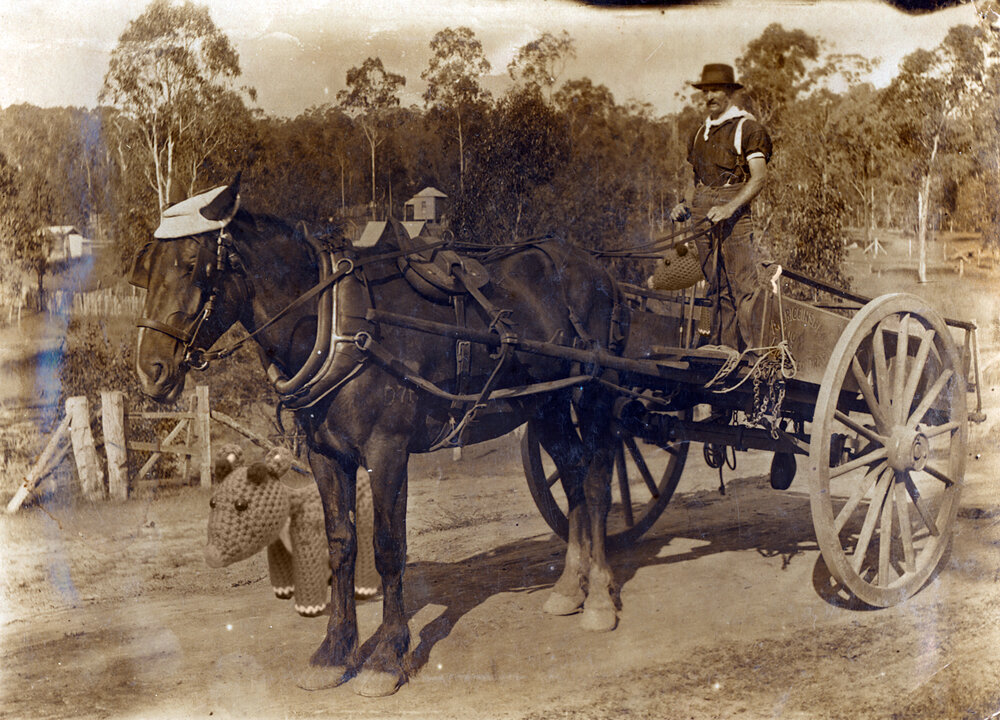 Shelven &amp; Rudolph explore Ipswich, Christmas 2020