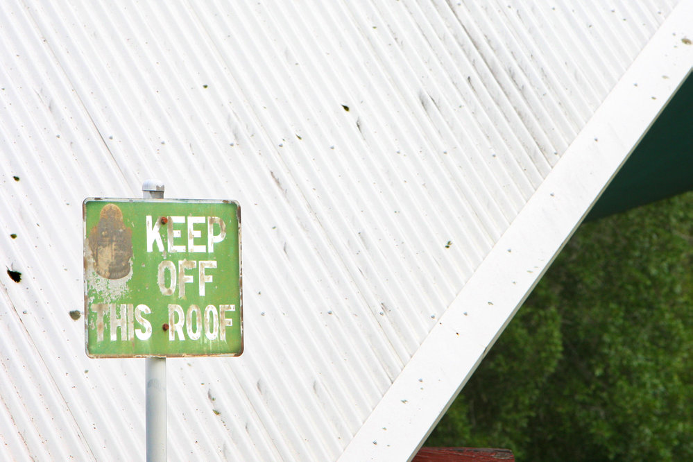 Picnic area shelter at Cameron Park, Booval, January 2008