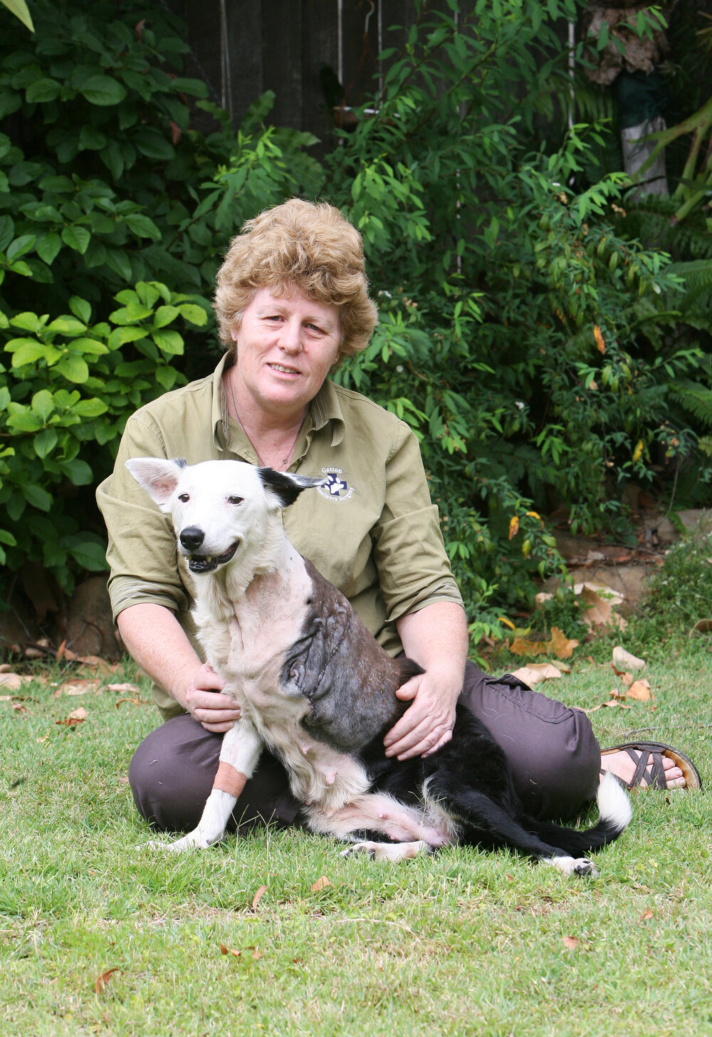 Gatton Veterinary Surgery animals, Gatton, November 2010 