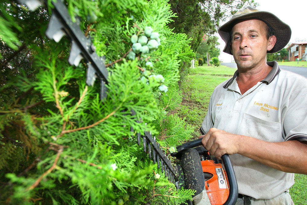 Darryl Fox of Darryl Fox's lawn and garden care business, Ipswich, January 2008