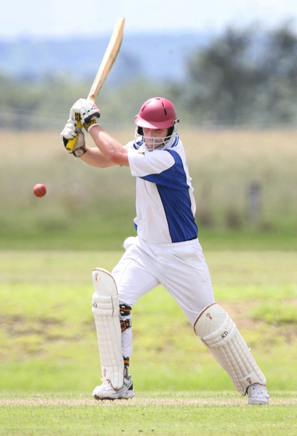 Brothers Ipswich Cricket Club vs. Colleges Crossing Cricket Club, January 2008 