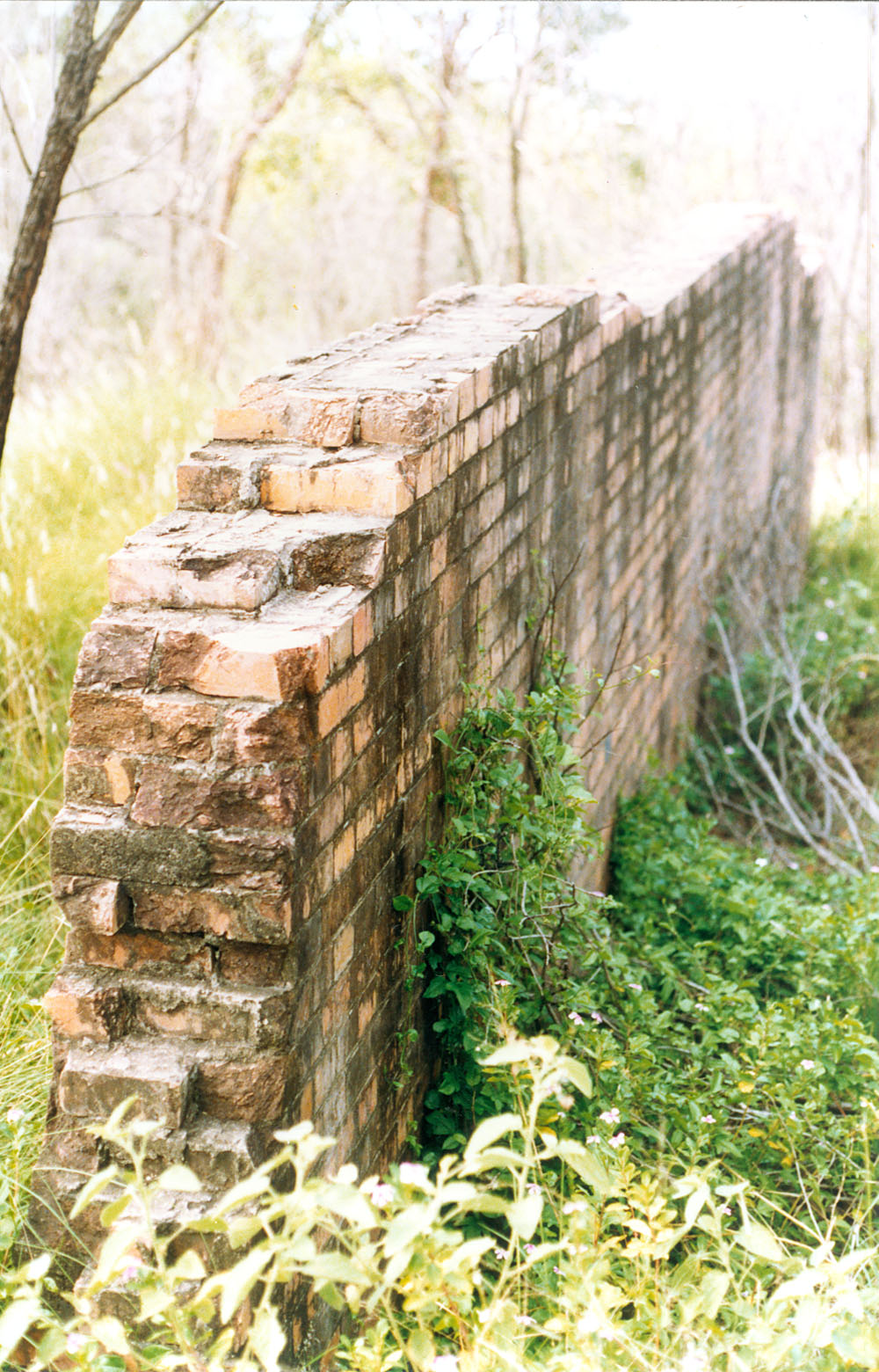 Brynhyfryd, 1991