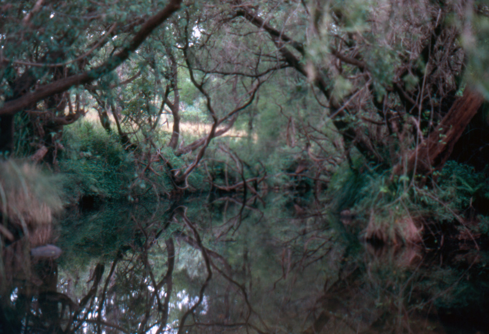 Headwaters of the Bremer River, near Rosevale, 1980