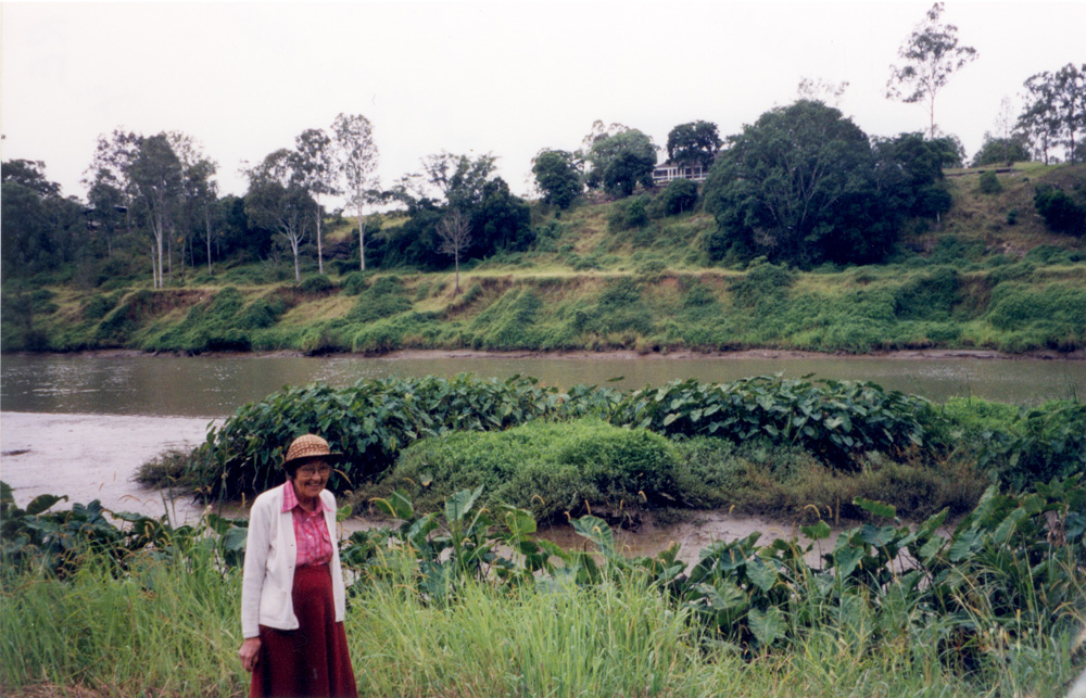 Viva Cribb at the Junction, 2002