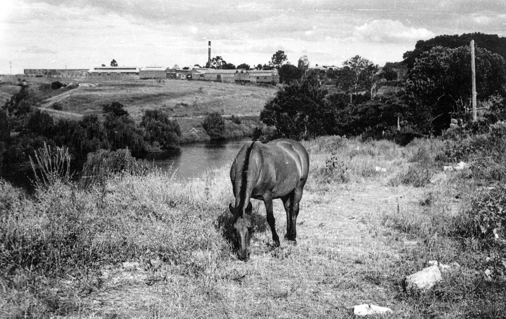 Bremer River, looking towards Woollen Mills, North Ipswich