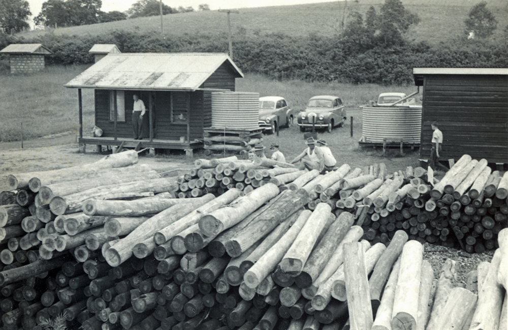Glencoe Mine near Rosewood, c.1950