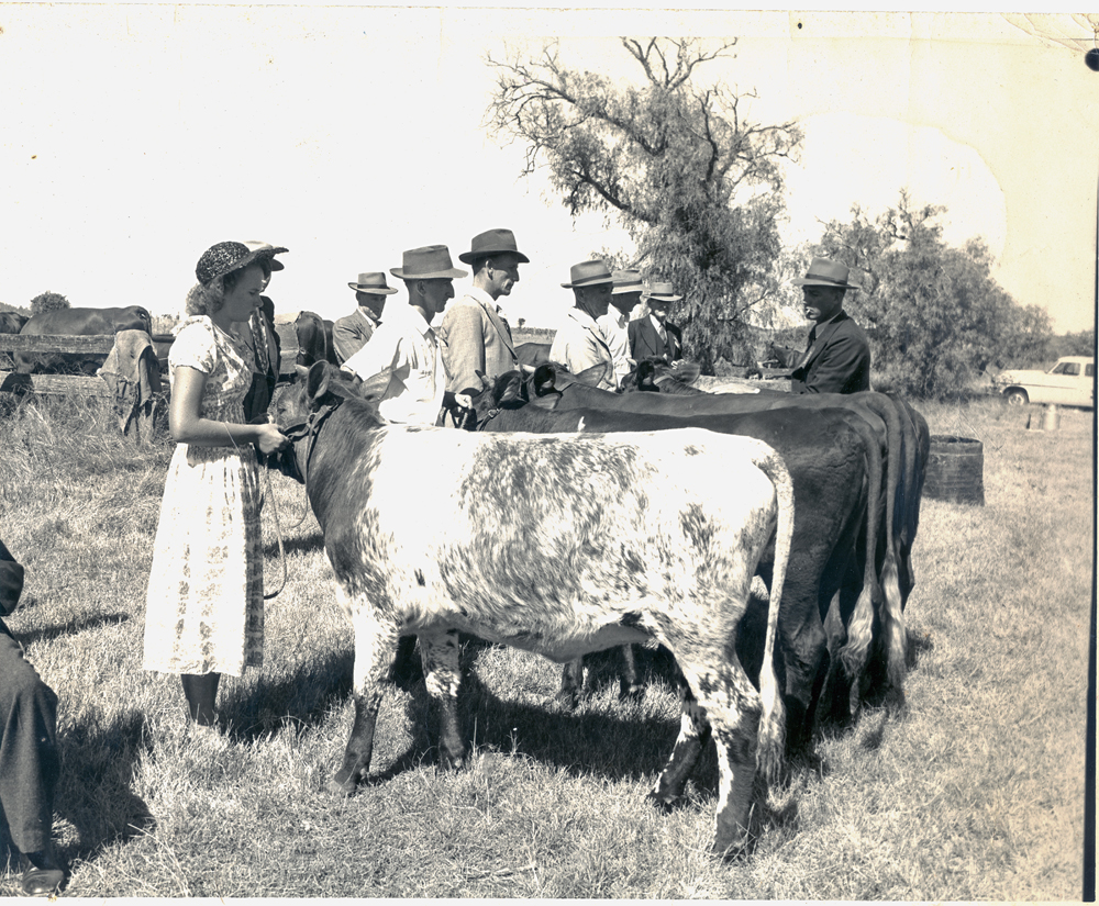 Marburg Show, Ipswich, early 1950s