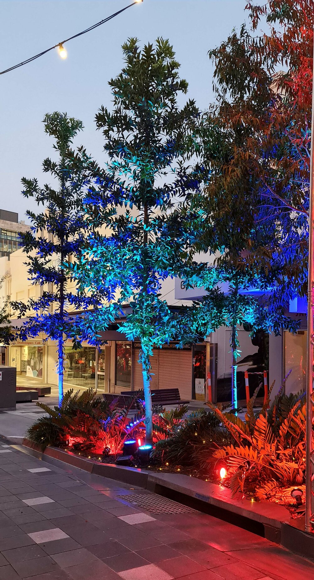Christmas in Ipswich, St Nicholas Precinct, blue lights on trees, 14 December 2021