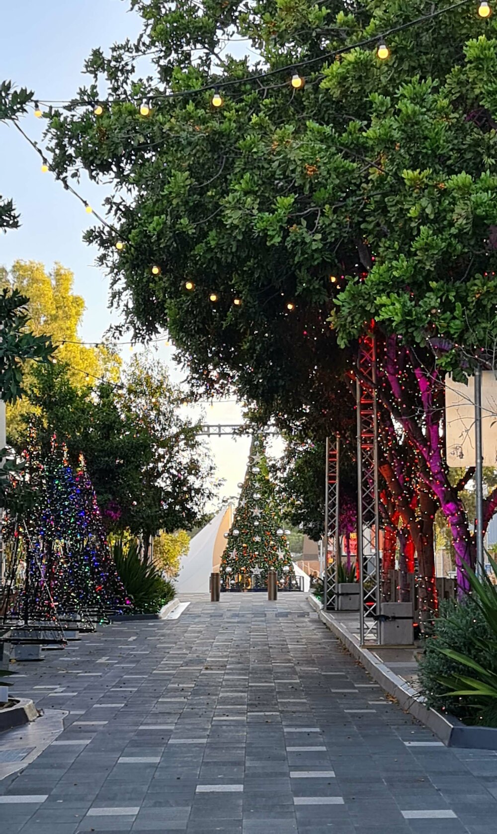 Christmas in Ipswich, St Nicholas Street Precinct, looking towards Christmas Tree in d'Arcy Doyle Place, 2021