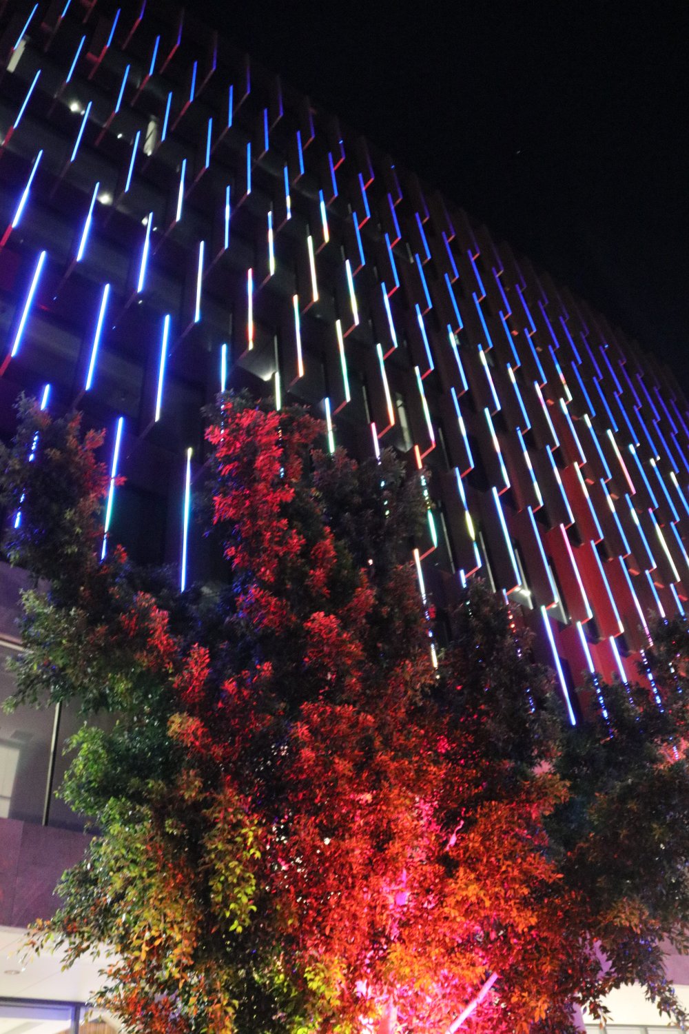 1 Nicholas Street, Christmas in Ipswich: St Nicholas Precinct, Nicholas Street Precinct &amp; Tulmur Place, Ipswich, 2021