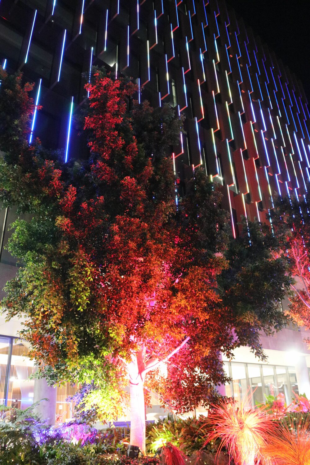 1 Nicholas Street, Christmas in Ipswich: St Nicholas Precinct, Nicholas Street Precinct &amp; Tulmur Place, Ipswich, 2021