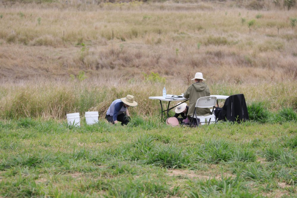 Archaeological dig at the site of the former Bremer Mills, Bundamba, 2021