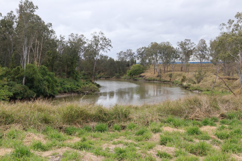 Archaeological dig at the site of the former Bremer Mills, Bundamba, 2021