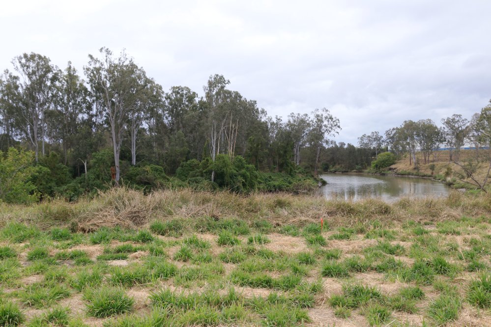 Archaeological dig at the site of the former Bremer Mills, Bundamba, 2021