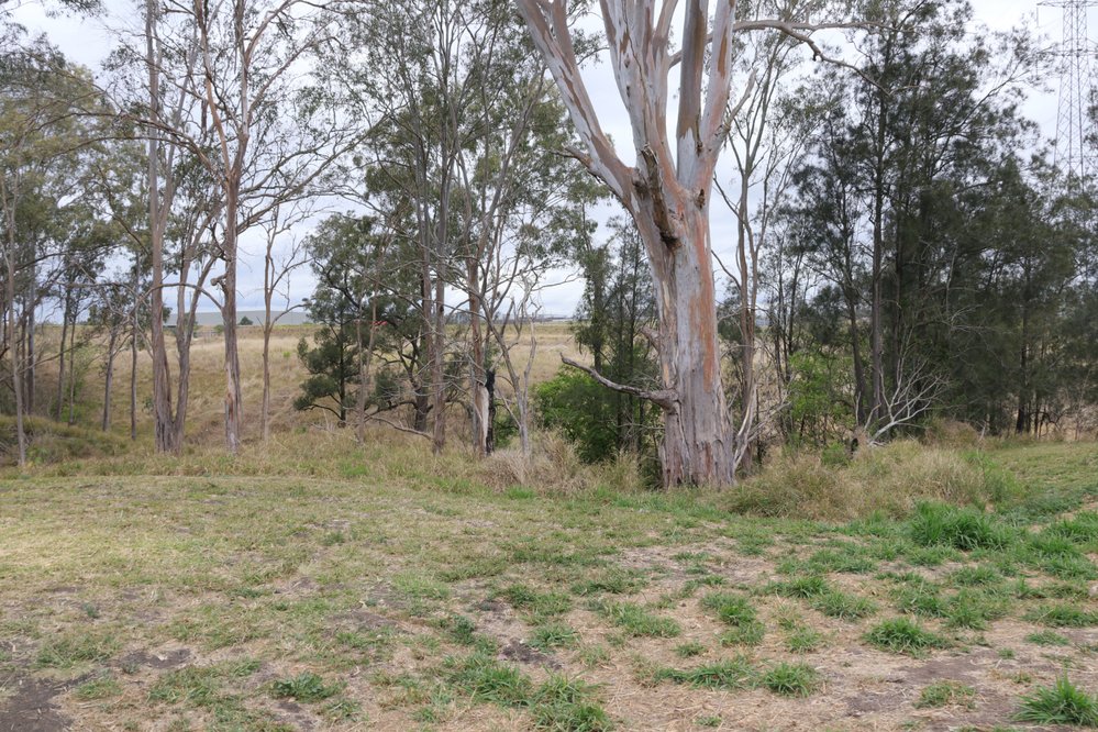 Archaeological dig at the site of the former Bremer Mills, Bundamba, 2021