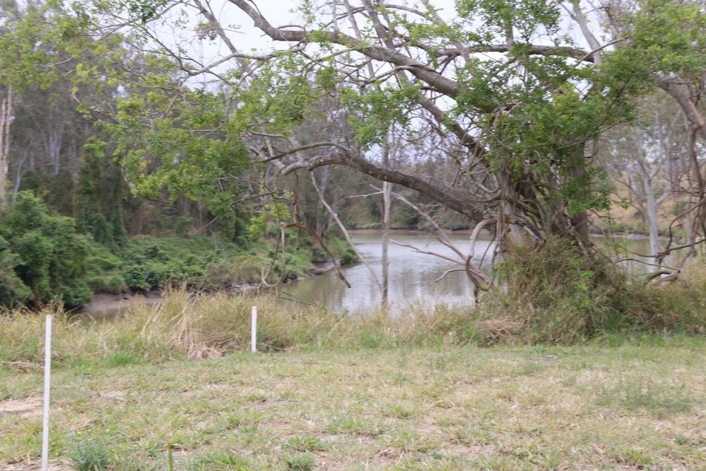 Archaeological dig at the site of the former Bremer Mills, Bundamba, 2021
