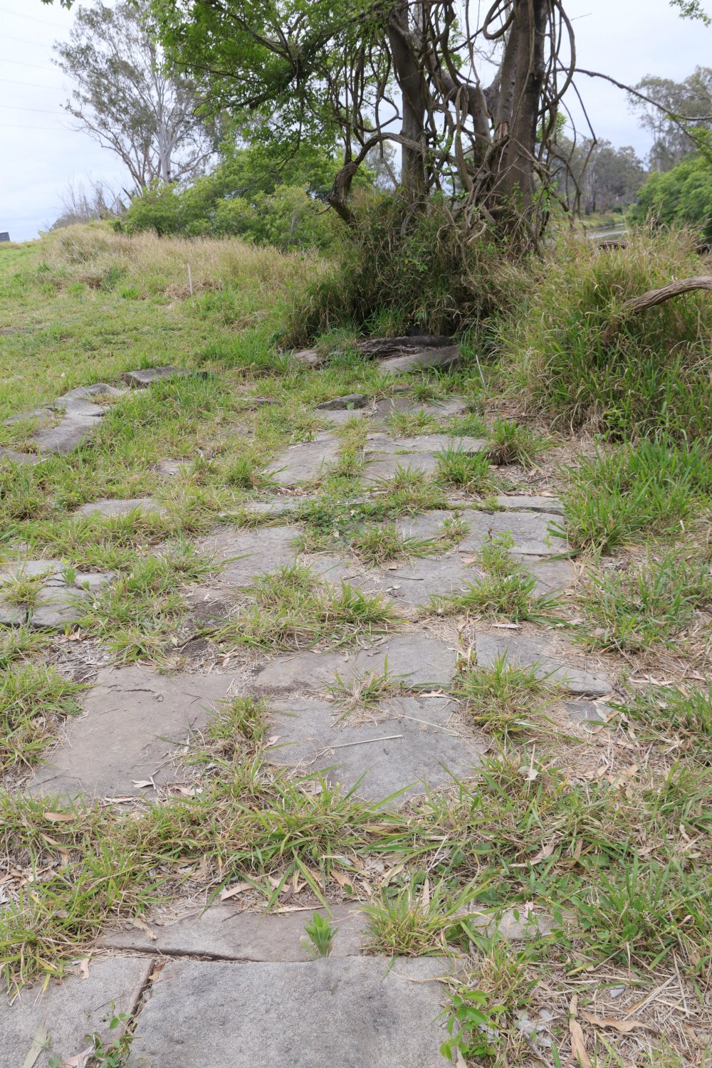 Archaeological dig at the site of the former Bremer Mills, Bundamba, 2021