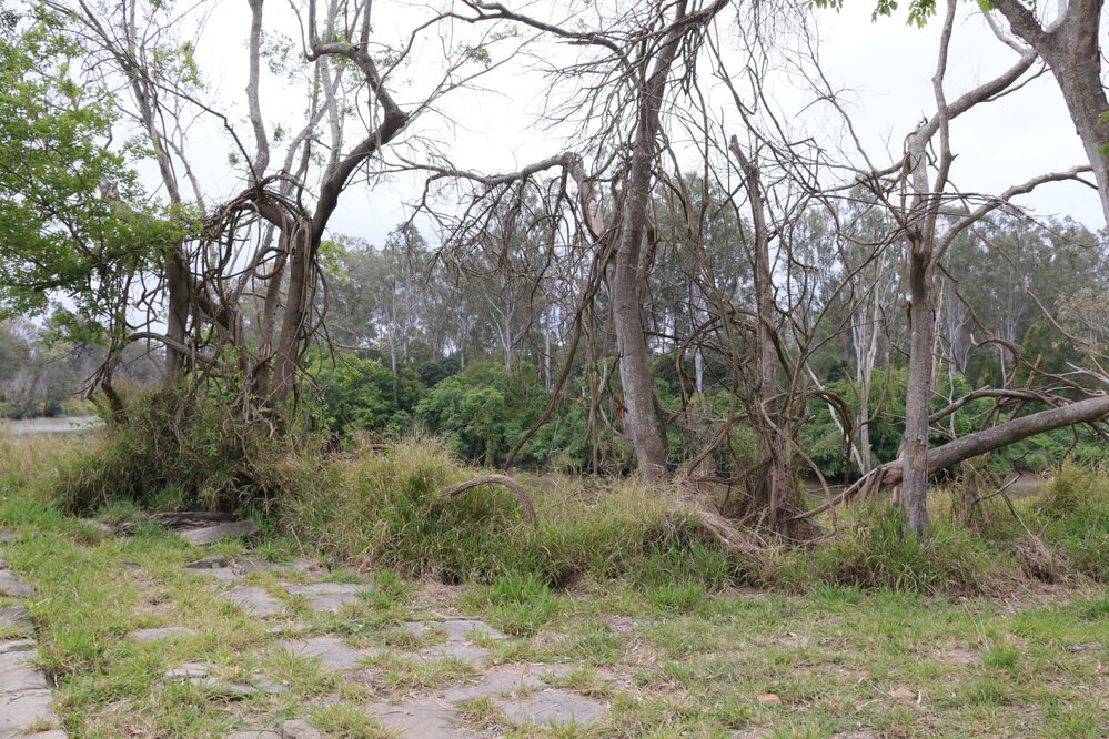 Archaeological dig at the site of the former Bremer Mills, Bundamba, 2021