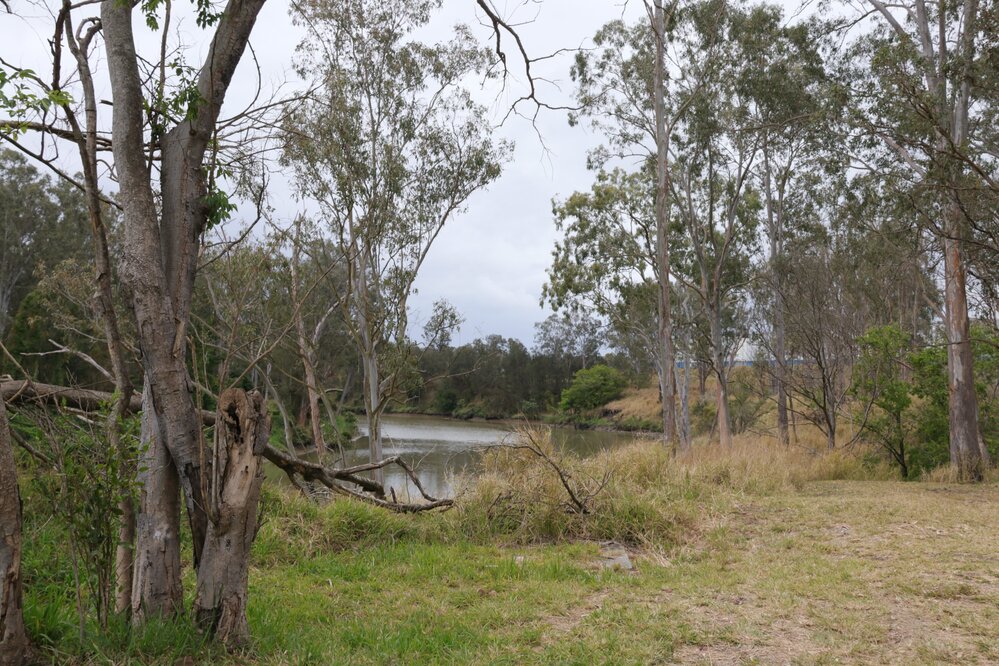 Archaeological dig at the site of the former Bremer Mills, Bundamba, 2021