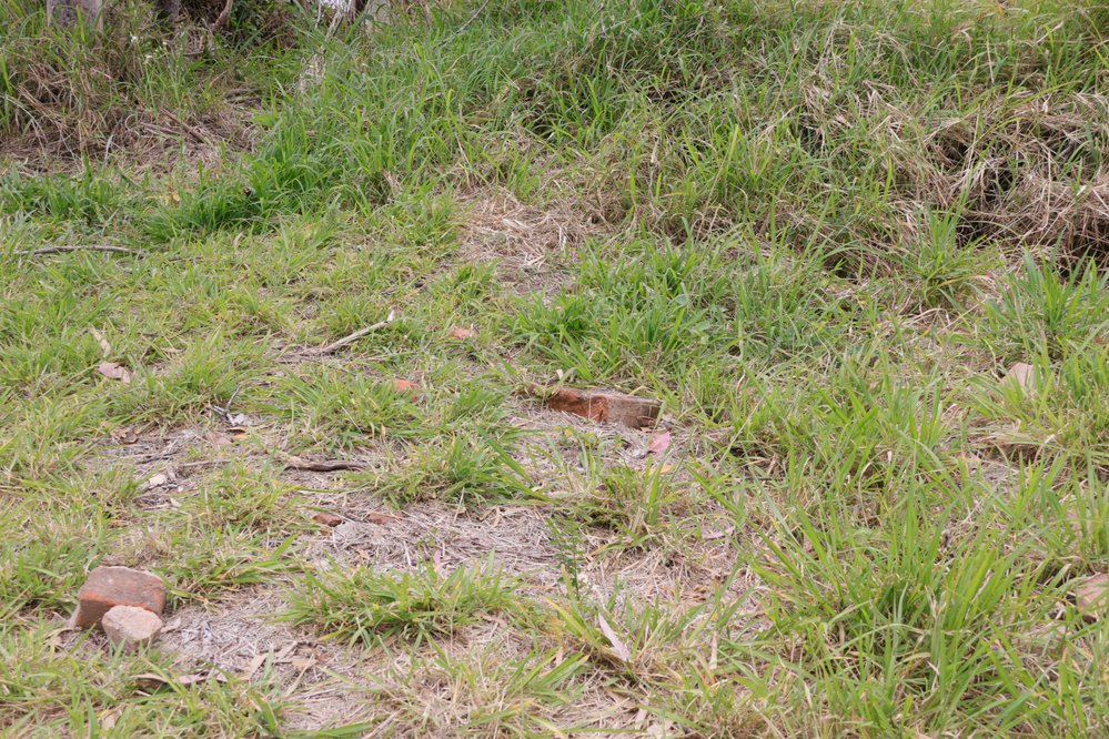 Archaeological dig at the site of the former Bremer Mills, Bundamba, 2021