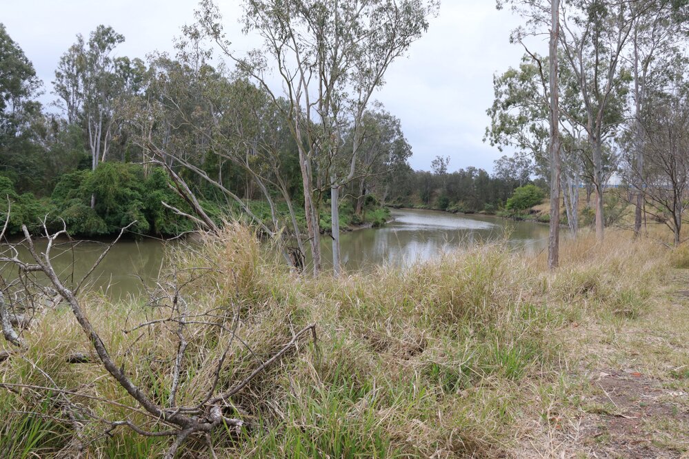 Archaeological dig at the site of the former Bremer Mills, Bundamba, 2021