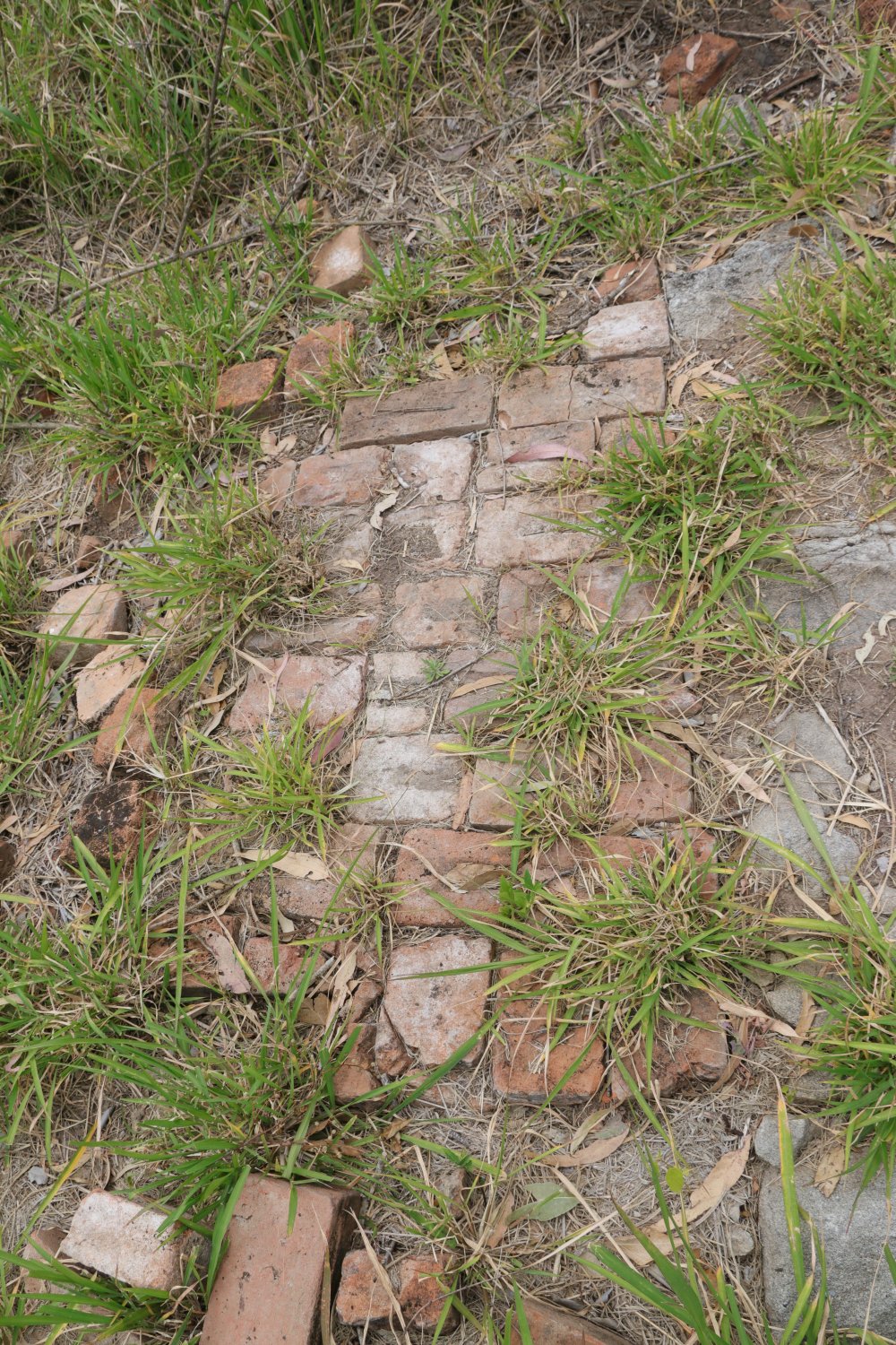Archaeological dig at the site of the former Bremer Mills, Bundamba, 2021