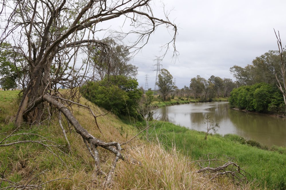 Archaeological dig at the site of the former Bremer Mills, Bundamba, 2021