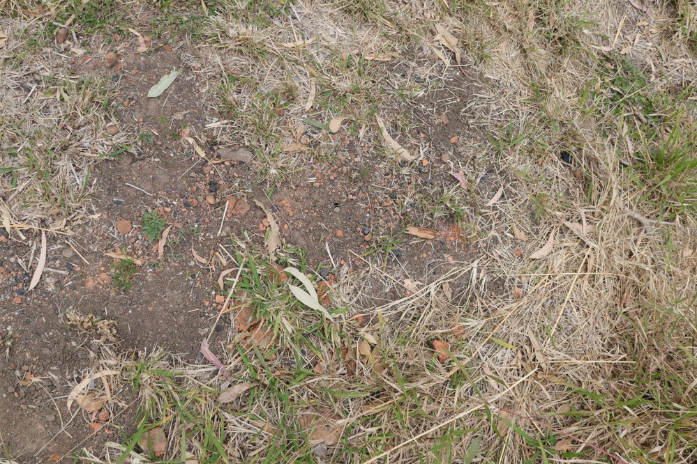 Archaeological dig at the site of the former Bremer Mills, Bundamba, 2021