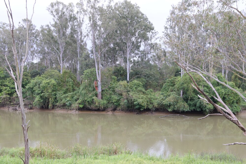 Archaeological dig at the site of the former Bremer Mills, Bundamba, 2021
