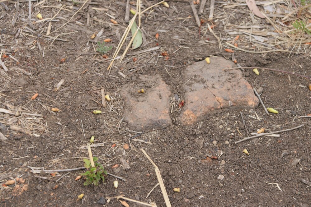 Archaeological dig at the site of the former Bremer Mills, Bundamba, 2021