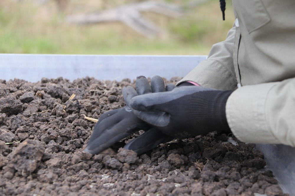 Archaeological dig at the site of the former Bremer Mills, Bundamba, 2021