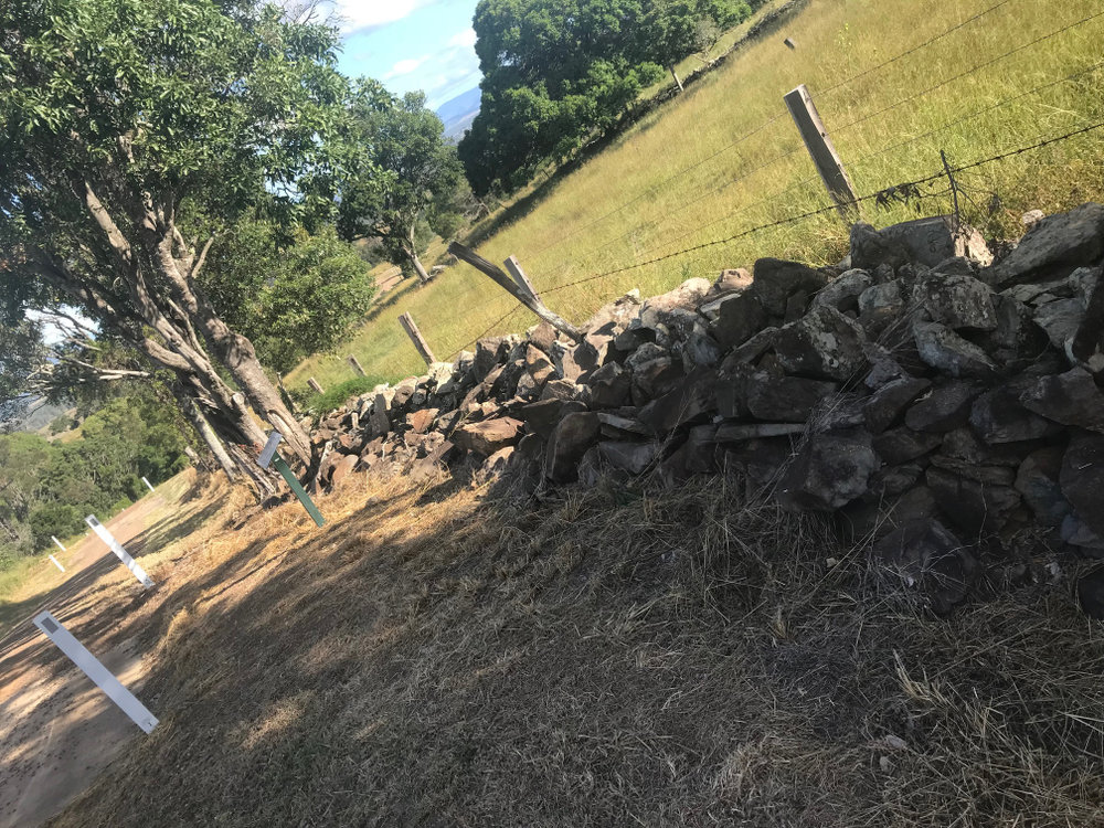 Drystone Wall, the Bluff, 1990s