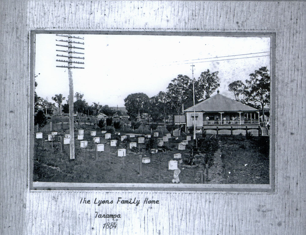 Beehives at front of Lyon family home, Tarampa, near Ipswich, 1884