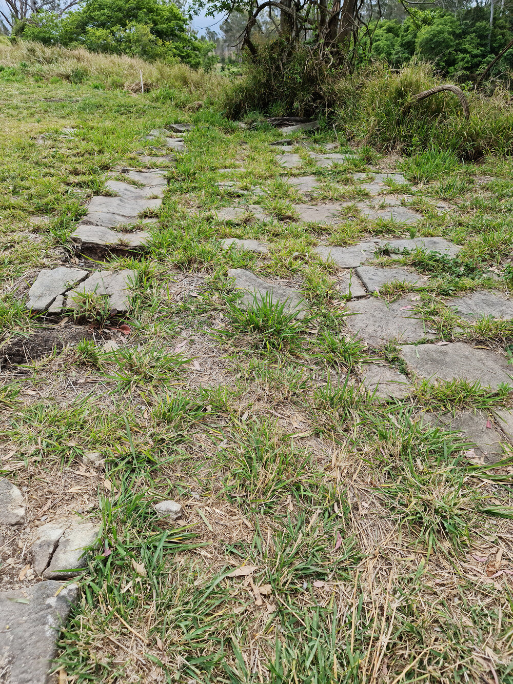 Archaeological dig at the site of the former Bremer Mills, Bundamba, 2021