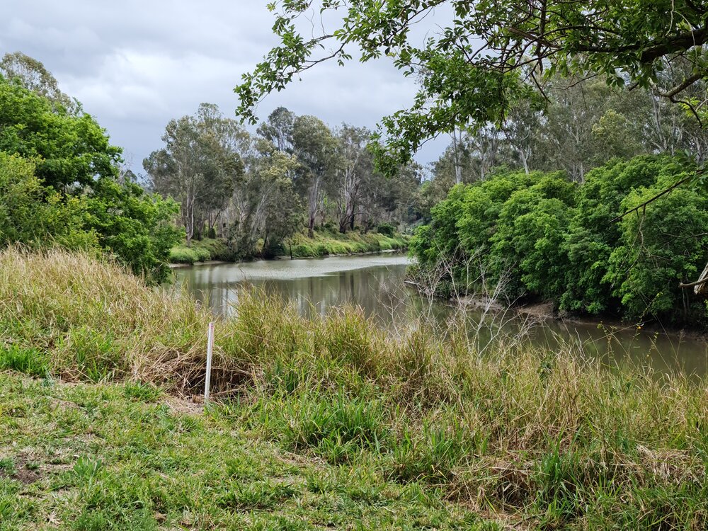 Bremer River taken from former Bremer Mills, Bundamba, 2021