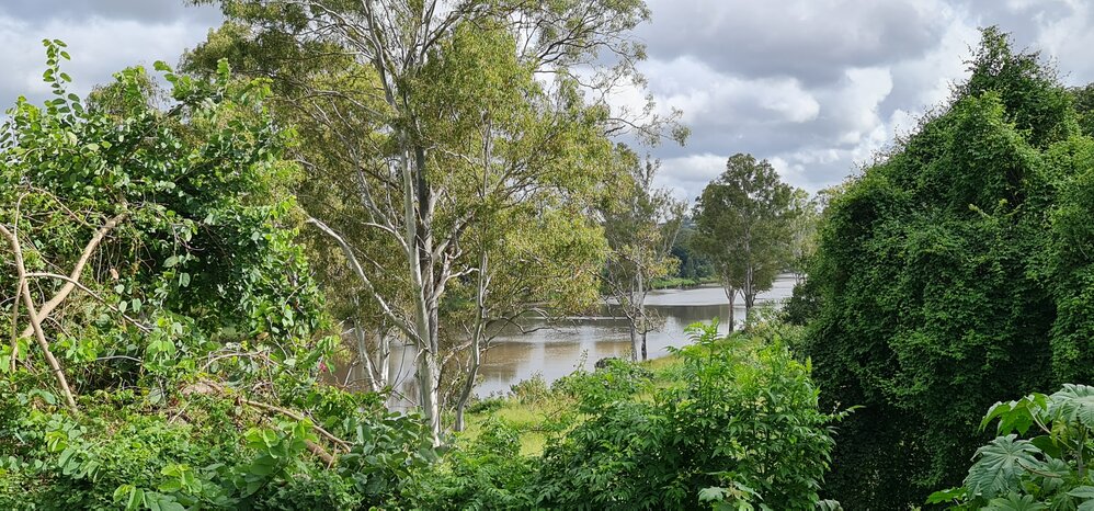 Redbank Meatworks and Woollen Mills site, 2022