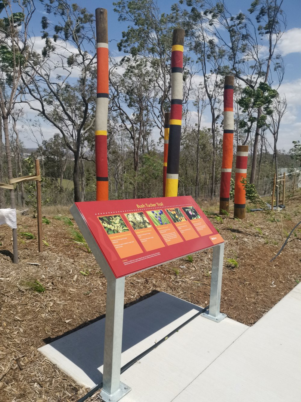 Spear Lily Park Bush Tucker sign, 2019