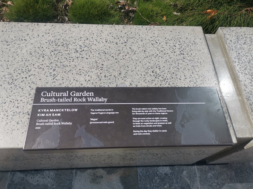 Nicholas Street Precinct at Tulmur Place, Cultural Garden, Brush-tailed Rock Wallaby sign, 2021 