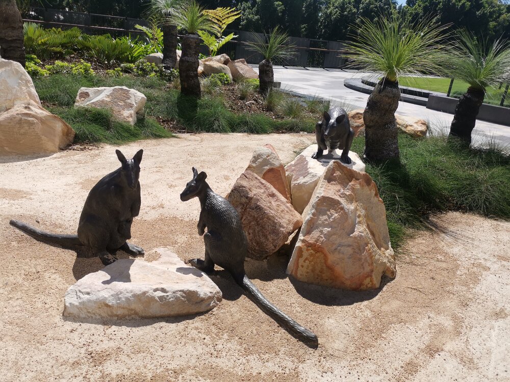 Nicholas Street Precinct at Tulmur Place, Cultural Garden, Brush-tailed Rock Wallabies, 2021