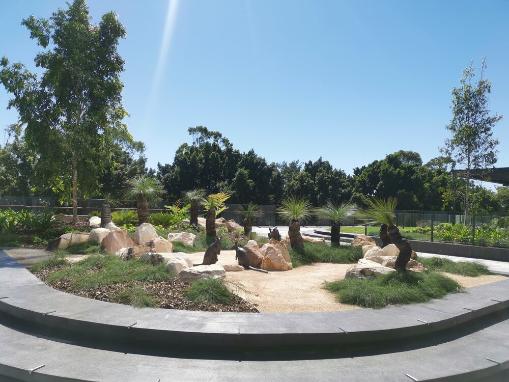 Nicholas Street Precinct at Tulmur Place, Cultural Garden, Brush-tailed Rock Wallabies, 2021