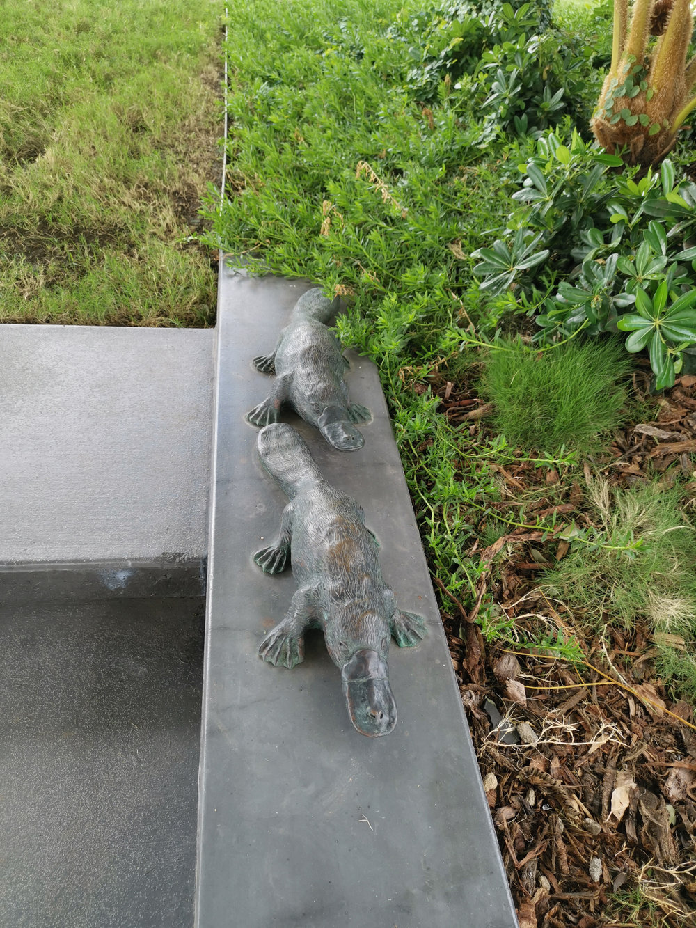 Nicholas Street Precinct at Tulmur Place, Platypus stautes, 2021