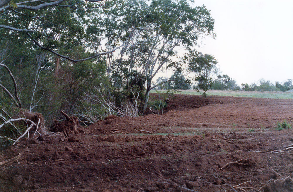 Earth moving, Six Mile Creek, near Bundamba, Ipswich, 1991